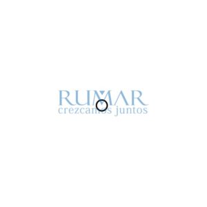 Anillo tórico para rotores Bien Air Prestige (Pequeño) – Ref. OR-0239